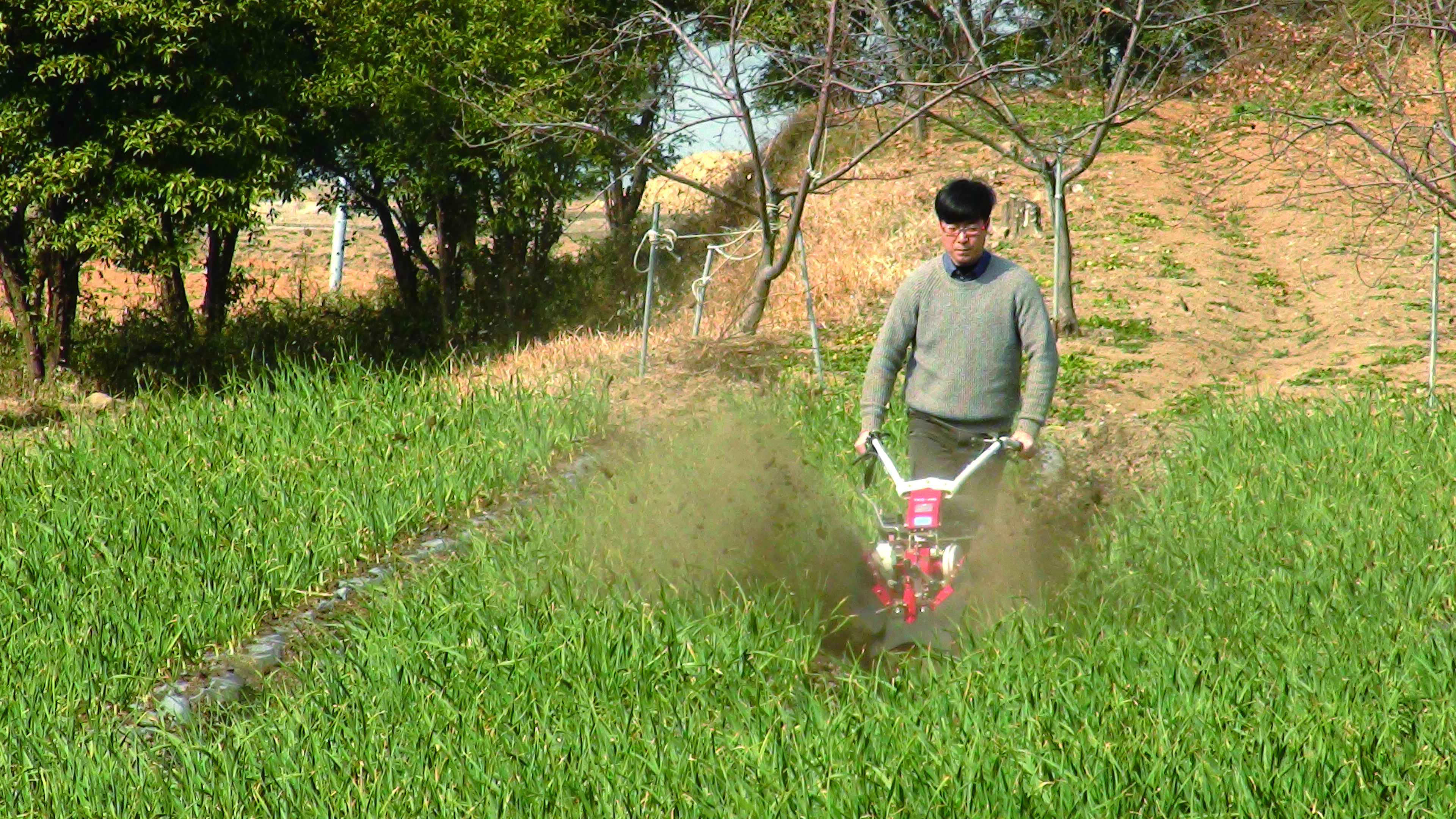 구굴기(TDR-250)